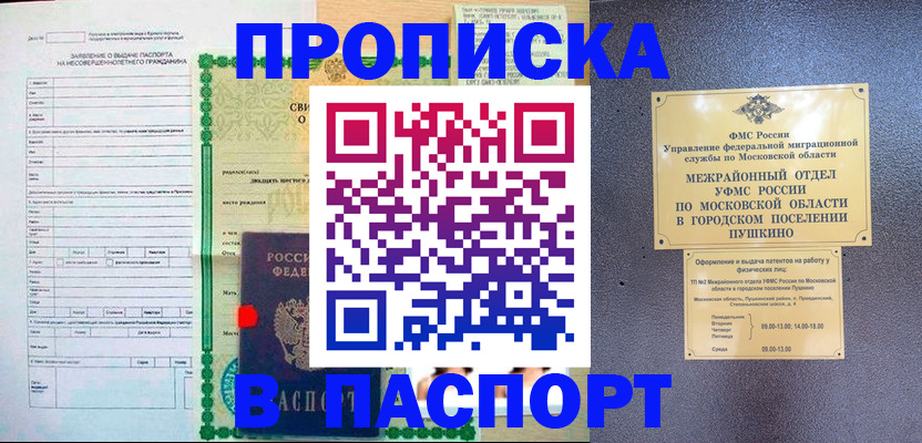 временная регистрация госуслуги в ЕАО